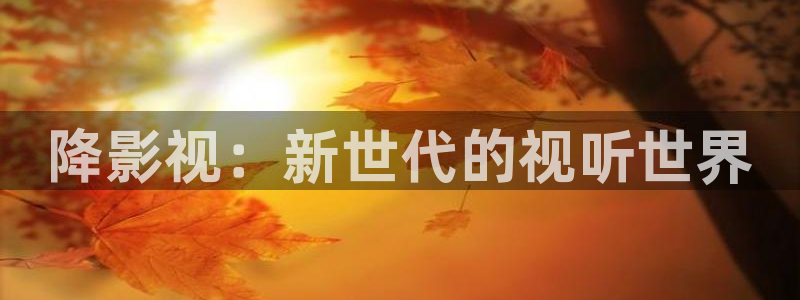 yy影院电视剧免费观看入口