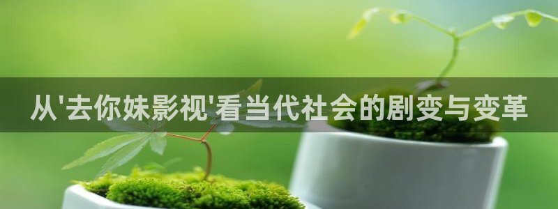 yy影院在线观看电视剧电影