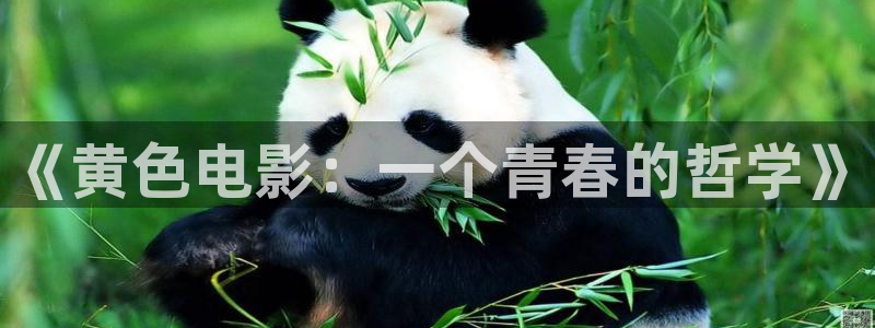 919yy影院免费观看