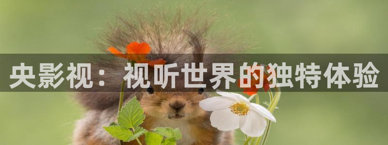 yy影院电视剧在线观看